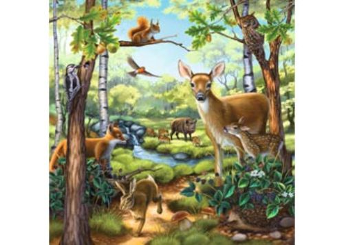 Puzzle - Ravensburger - Forest Zoo & Pets Puzzle 3x49pc