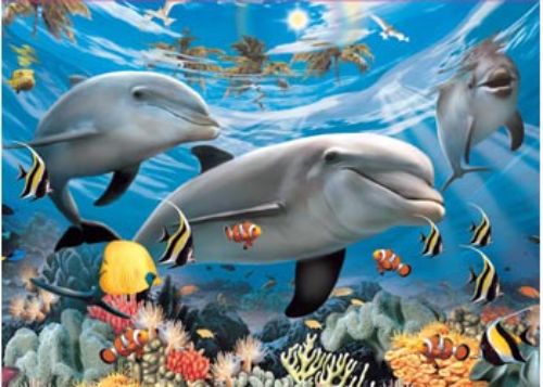 Puzzle - Ravensburger - Caribbean Smile Puzzle 60pc