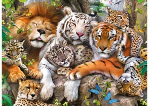 Puzzle - Ravensburger - Big Cat Nap Puzzle 200pc