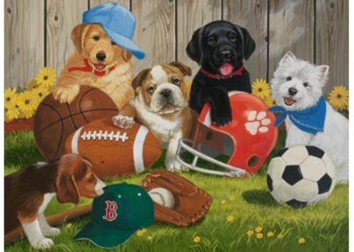 Puzzle - Ravensburger - Lets Play Ball Puzzle 200pc