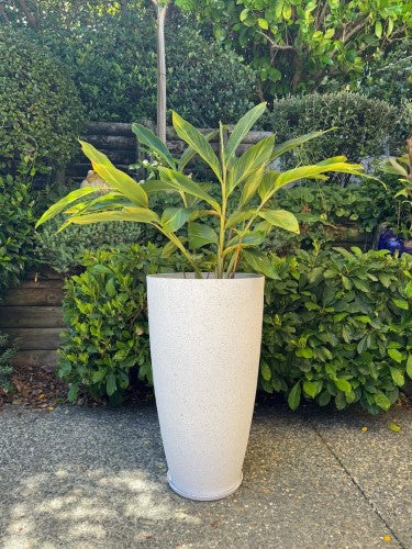 Vase - Nova Large White 43 x 75cm (Set of 2)