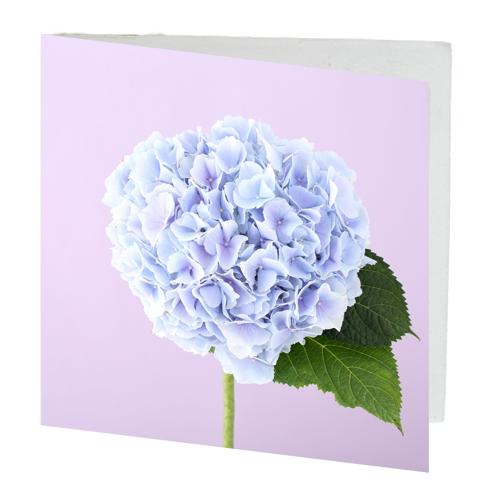 Gift Card Blue Hydrangea Pack of 10 with Envelopes 12cmx12cm
