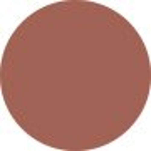 Shiseido Technosatin Gel Lipstick - # 405 Playback 3.3g/0.11oz