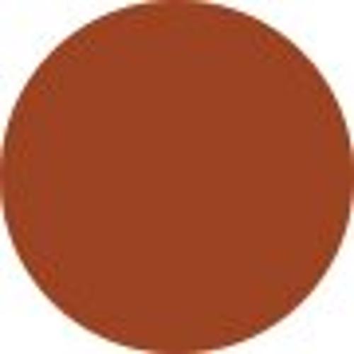 Estee Lauder Melt On Gloss Stick - # 890 MELTED TANGERINE 1.8g