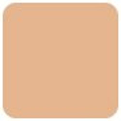 TIRTIR Mask Fit Red Cushion (Mini) - # 24N Latte 4.5g