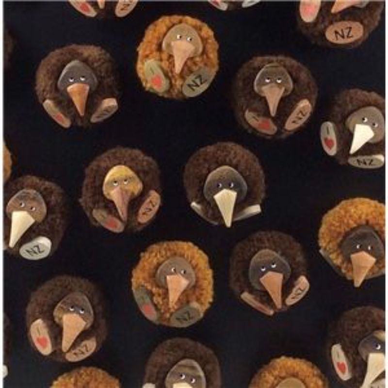 Magnet - Kiwi Pompom (Set of 24 Assorted)