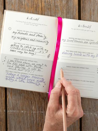 Guided Daily Journal - If You Love Something