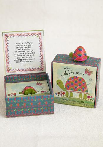 Lucky Charm In Box Turtle Nc