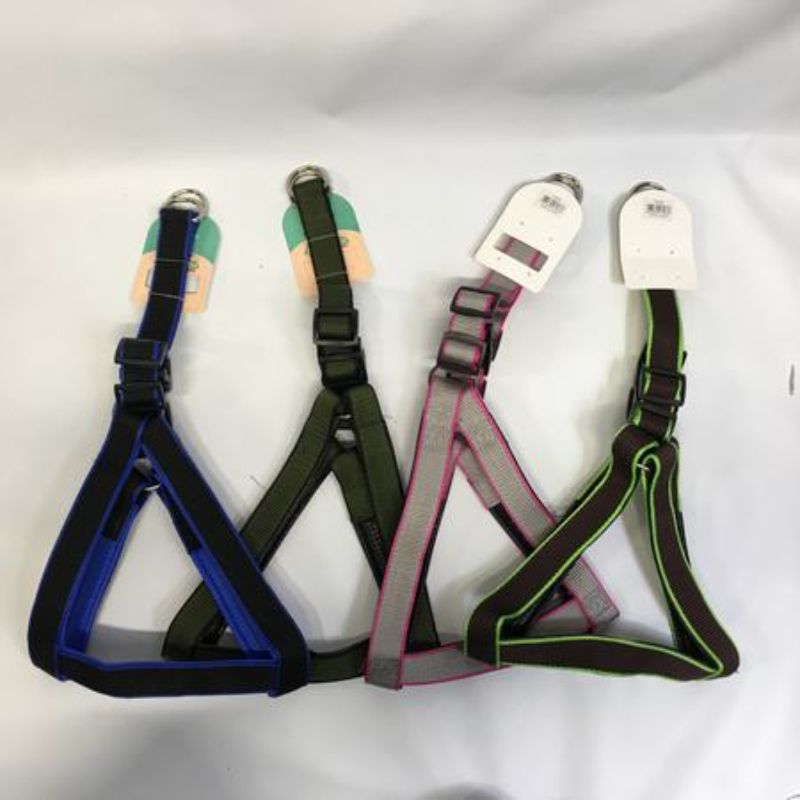 Colorful set of 12 assorted pet collars, each 3cm, designed for stylish and secure pet accessories.