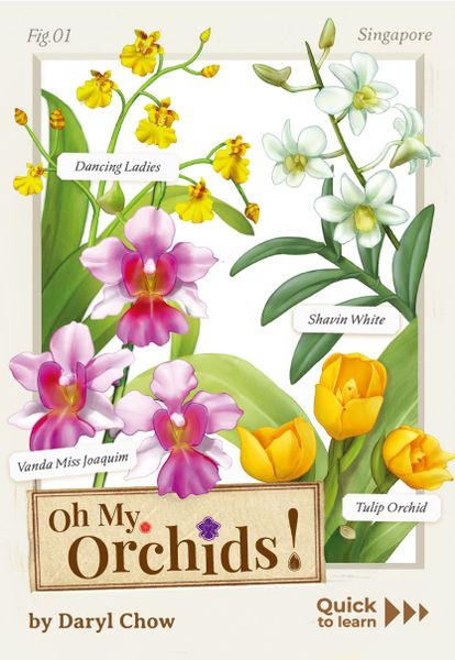 Origame: Oh My Orchids! - Board Game