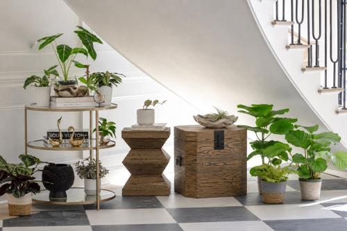 Docklands Old Elm Storage Trunk - Small