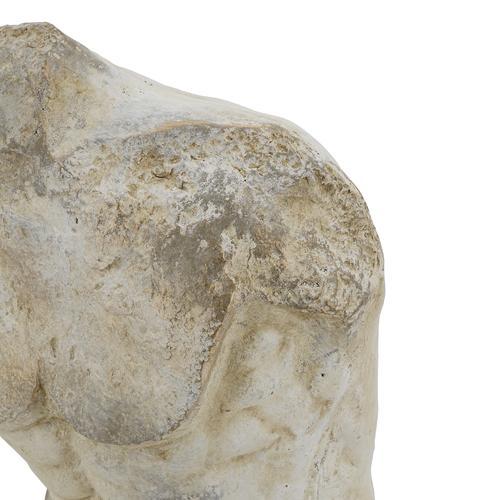 Belvedere Bust Decorative Sculpture