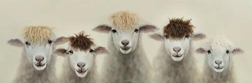 Bad Hair Day 5 Sheep Canvas Wall Art 3D Faux Hair 500x1500