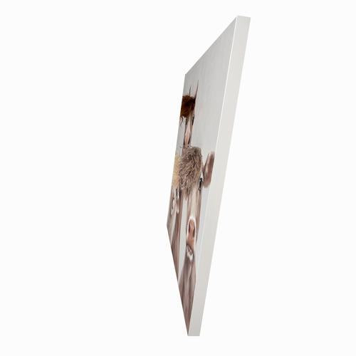 Bad Hair Day The Family Canvas Wall Art 800x800