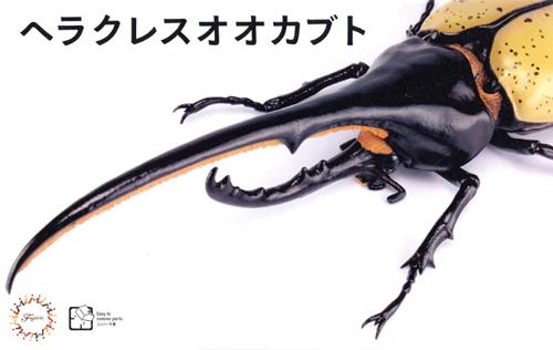 Plastic Kitsets - Fujimi - Biology Edit Dynastes Hercules