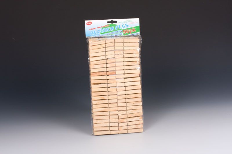 Laundry Pegs (576pcs)