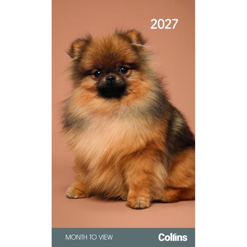 2027 Cats and Kittens Pocket Diary Collins Rosebank Monthly Set of 4