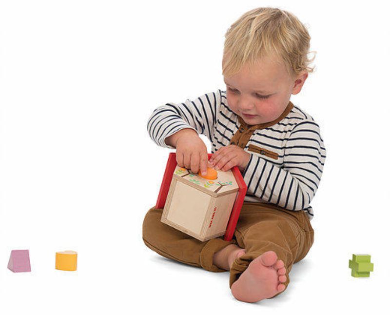 Shape Sorter - Little Bird House