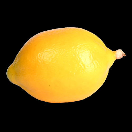 Artificial Lemon - 7 x 11 x 7cm (Set of 12)