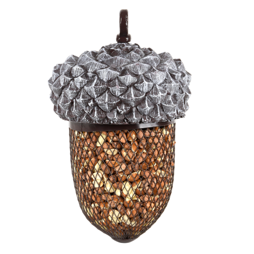 Bird Feeder - Acorn (22.2cm)