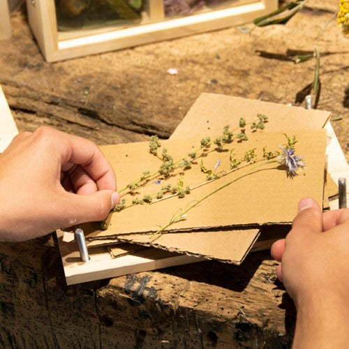 Dried Flower Press With Screws (Set of 4)