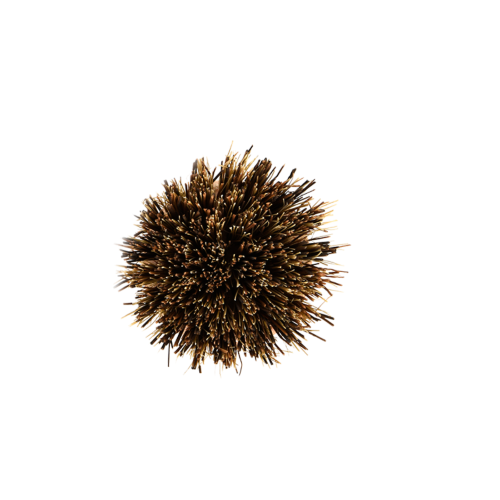 Pot Brush