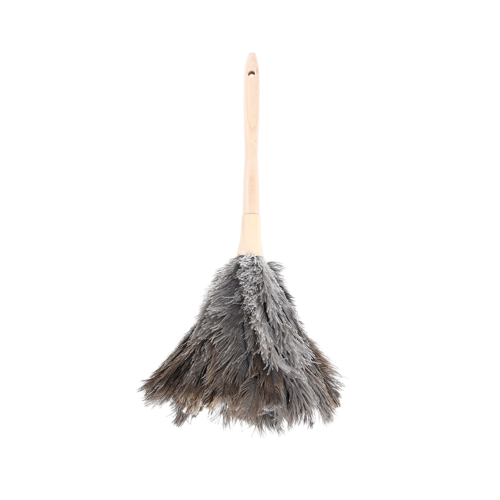 Feather Duster