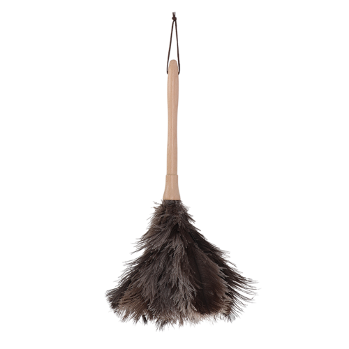 Feather Duster