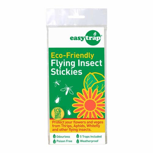 easytrap For Flying Insects