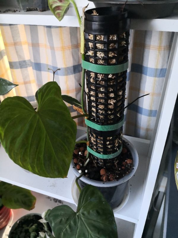 Stylish black moss tube for gardening, 170mm long, 60mm diameter; perfect for plant propagation and soil stabilization.