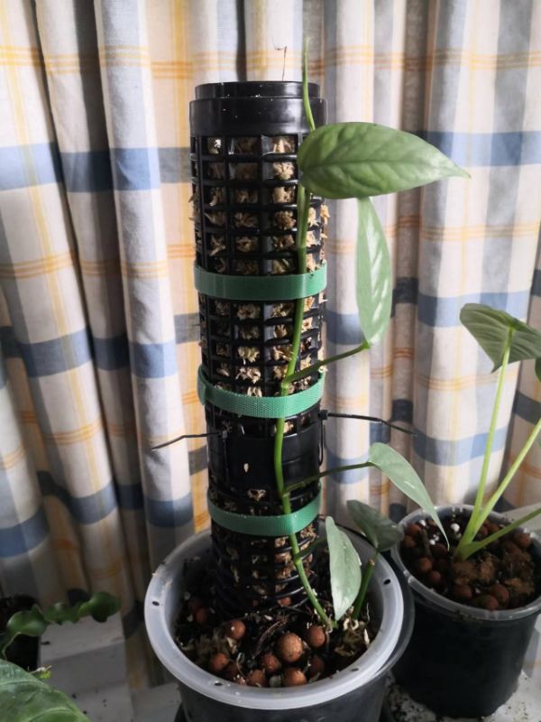 Durable 170mm x 60mm black moss tube designed for plant propagation and soil stabilization in gardens.