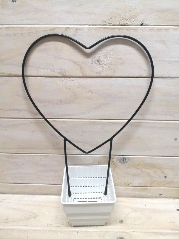 Heart-shaped metal garden stake providing strong plant support while adding charm to outdoor decor.