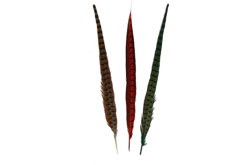 Feathers 45-50cm