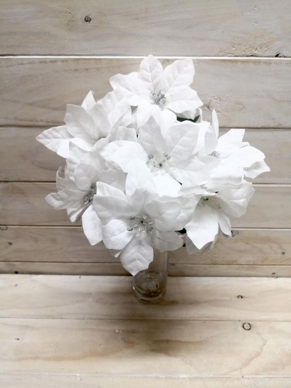 Flower- White Poinsettia Bush White