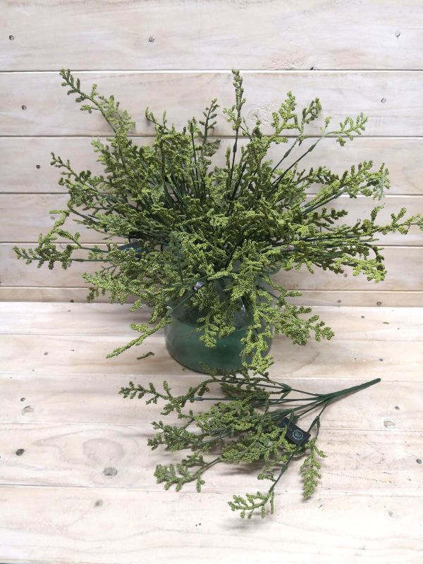 Gypsophila – Green Limonium Bush