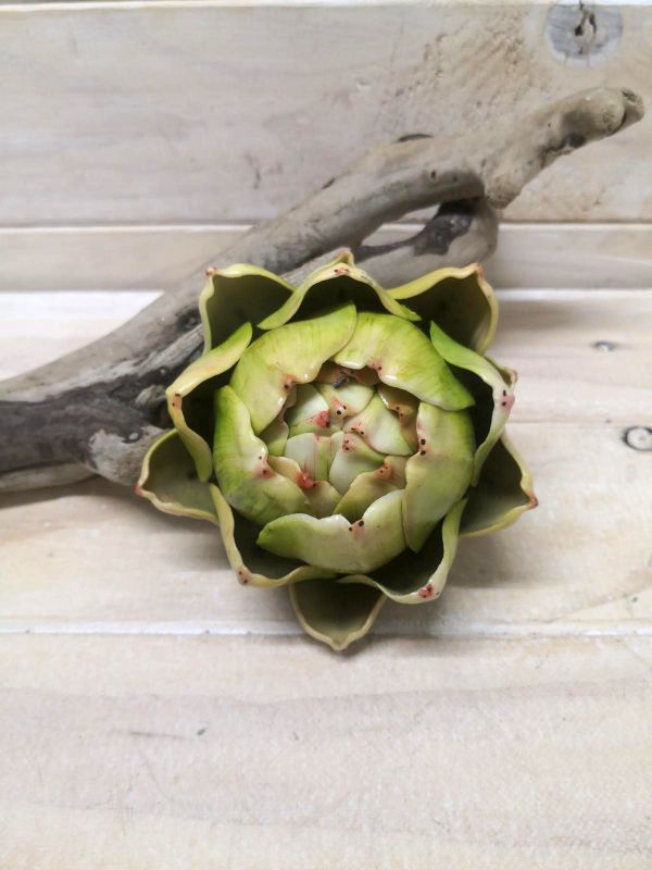 Artichok – Artichok Head