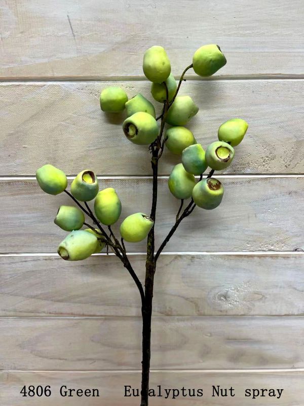Berry – Eucalyptus Seed Spray Green Yellow
