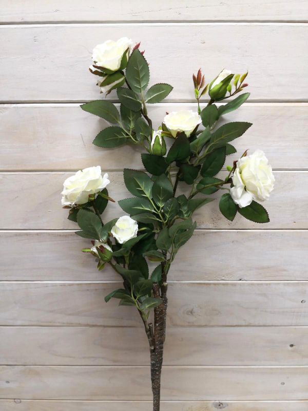 Rose – Alice Rose Spray with Buds x 7 White