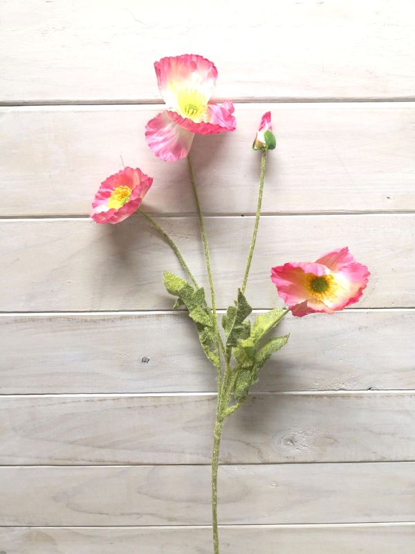 Poppy – Pink Poppy Spray
