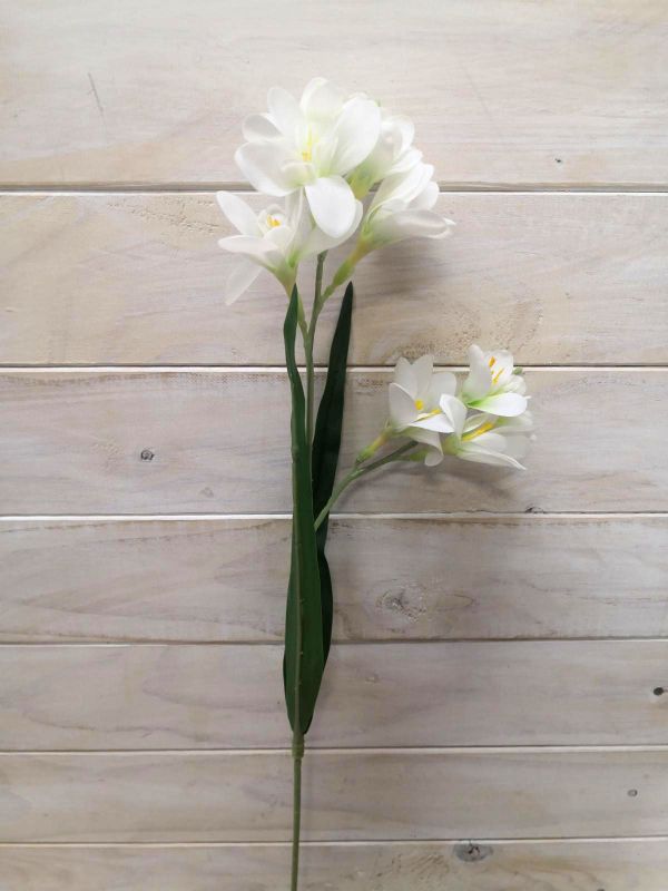 Freesia – Real Touch Freesia