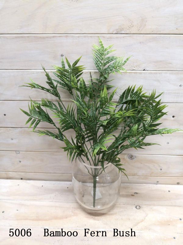Fern – Bamboo Fern Bush