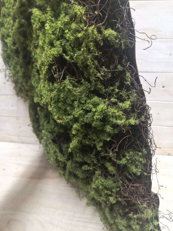 Realistic 50 x 50cm Thick Twig Moss Mat, perfect for low-light decor and maintenance-free greenery in any space.