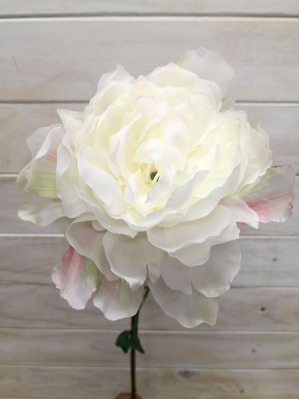 Artificial Single Peony Stem (Cream Pink)