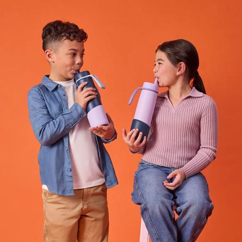 690mL Insulated Bottle Silicone Bumper b.box Lilac Love