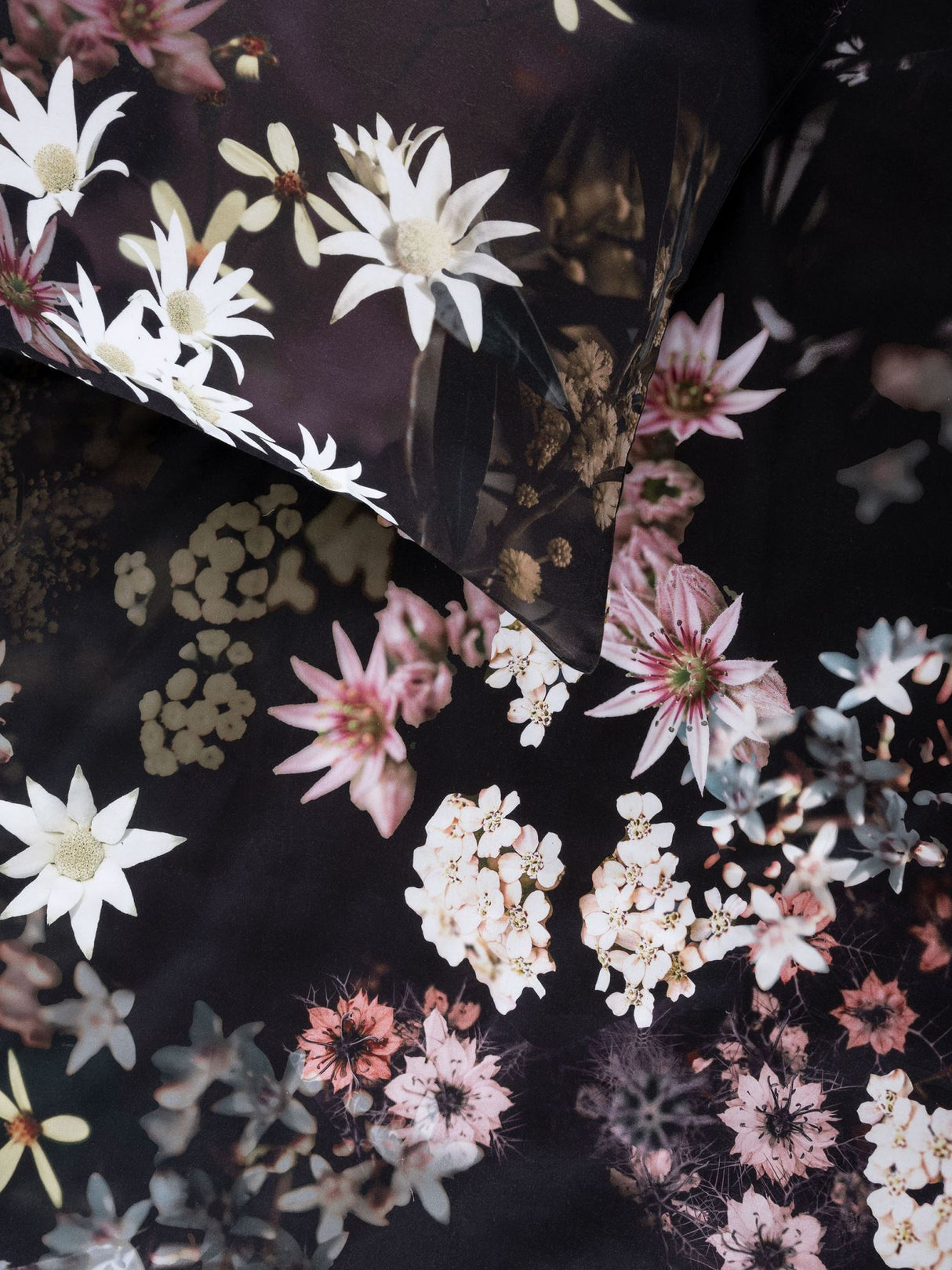 Super King Duvet Cover Set by Savona featuring dark floral prints on luxe cotton sateen for a moody, botanical ambiance.