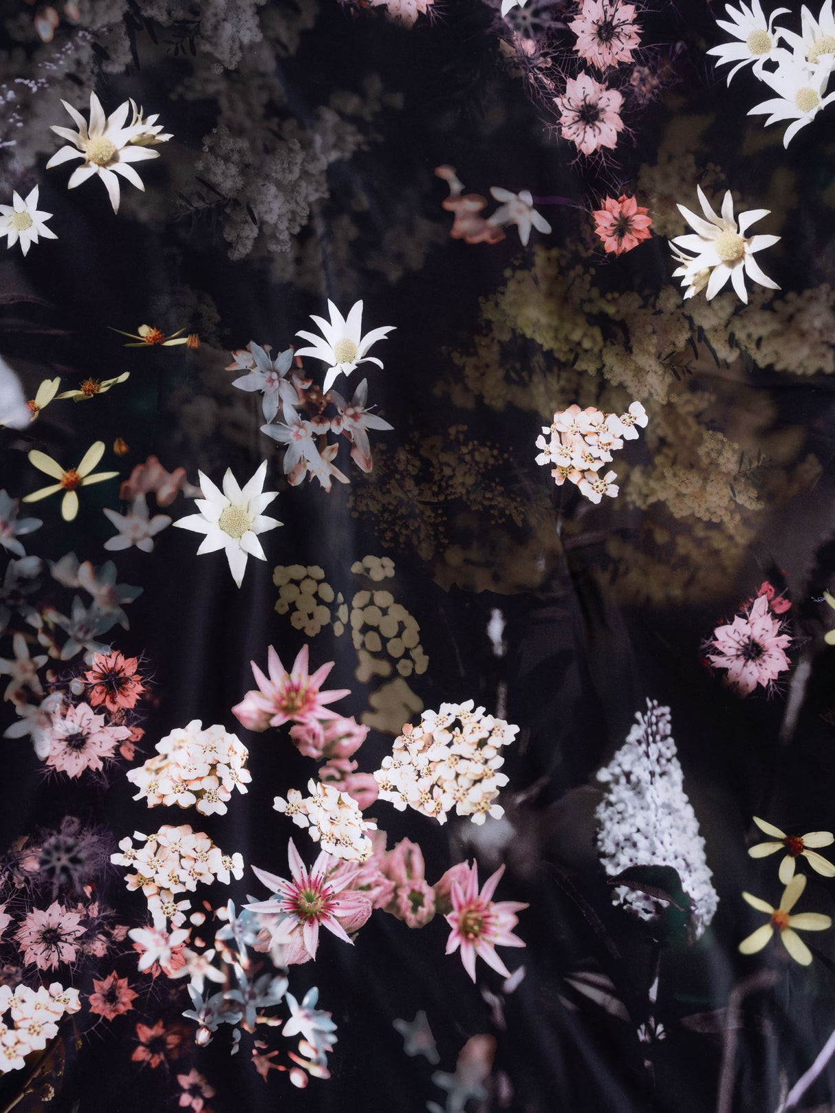 Queen duvet cover set featuring floral prints on a black background, crafted from luxe cotton sateen by Savona.