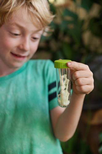 Glowing T-Rex Skeleton
