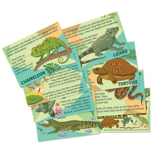 Mould & Paint Reptile & Amphibian