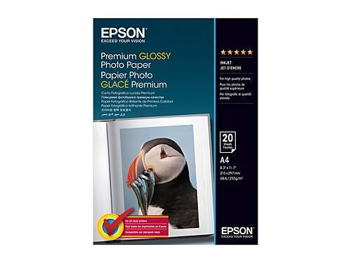 Epson A4 Glossy Paper (S041287)
