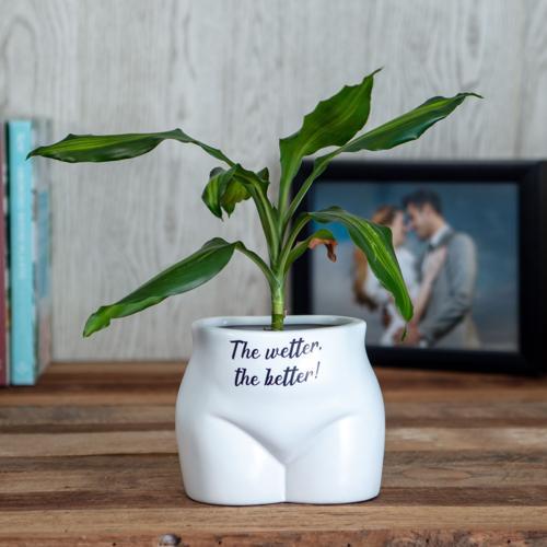 The Wetter The Better Novelty Plant Pot - Pack of 3